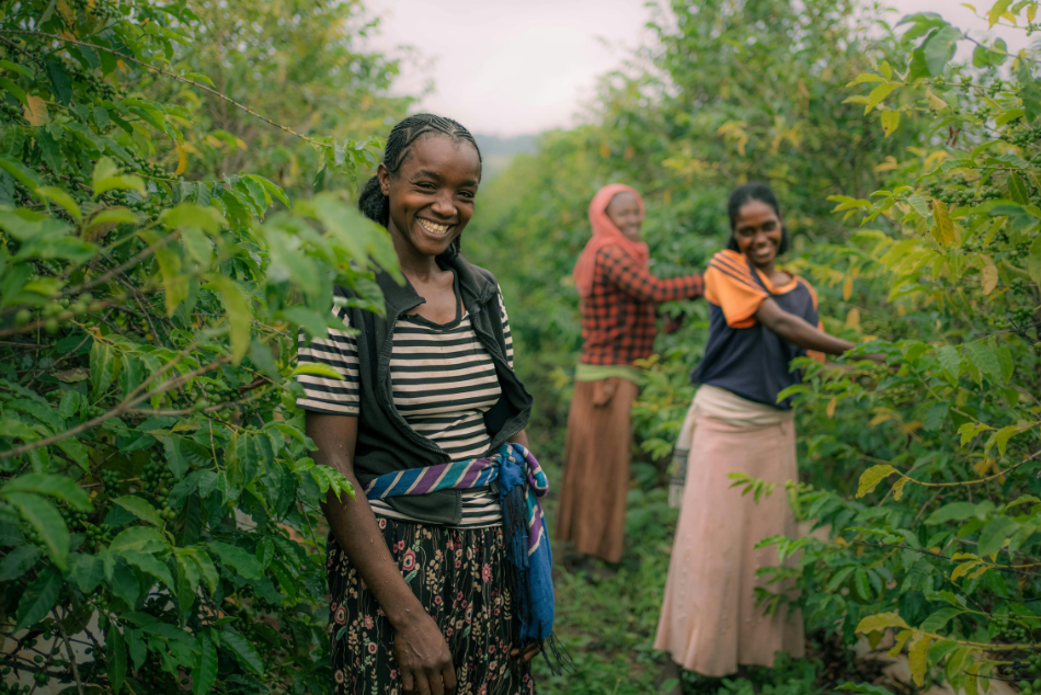 Why No Business is Doing Social impact Perfectly- Clean + Conscious Awards