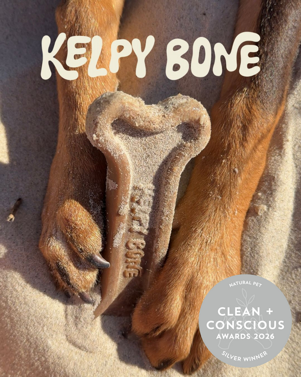 Dog Chew by Kelpy Bone – Best Natural Pet, Clean + Conscious Awards 2026